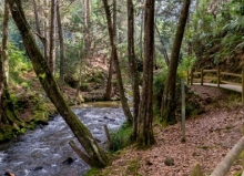 Imagen Parque Arví